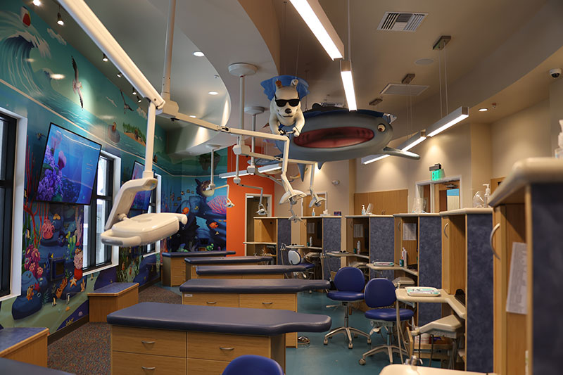 Naples open treatment bay wrapped in floor-to-ceiling undersea murals