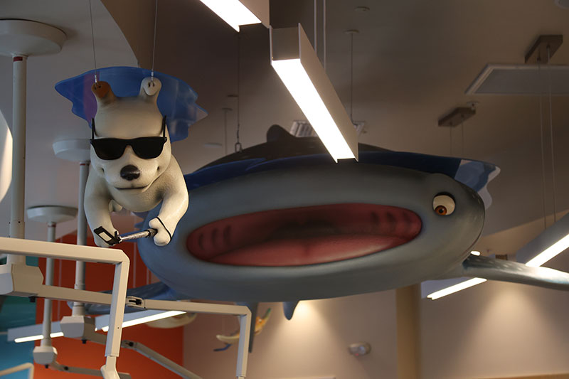 Shades the mascot riding the 16 foot whale shark suspended over the Naples treatment bay